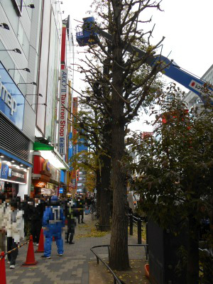 �H�t��25-1213-15